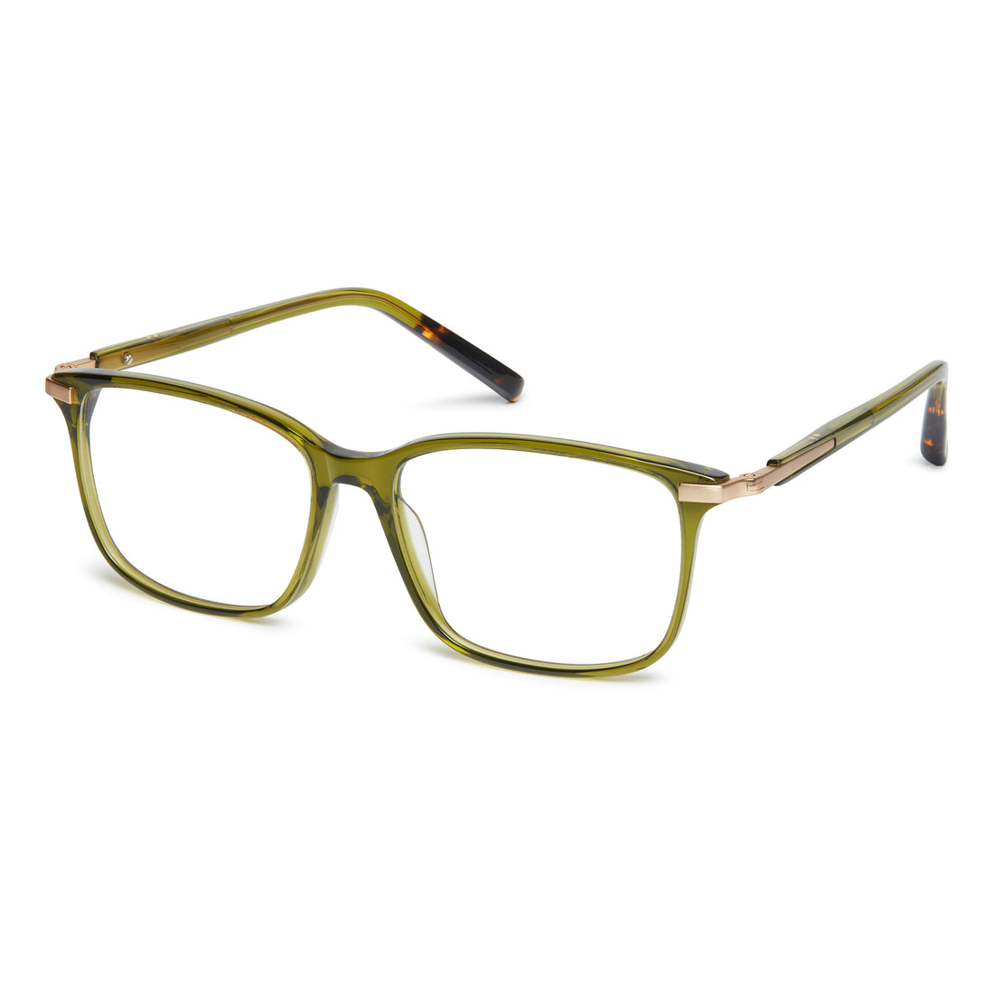 SCOTCH & SODA GERARD DOU SS4002 542 GREEN 56/16-145