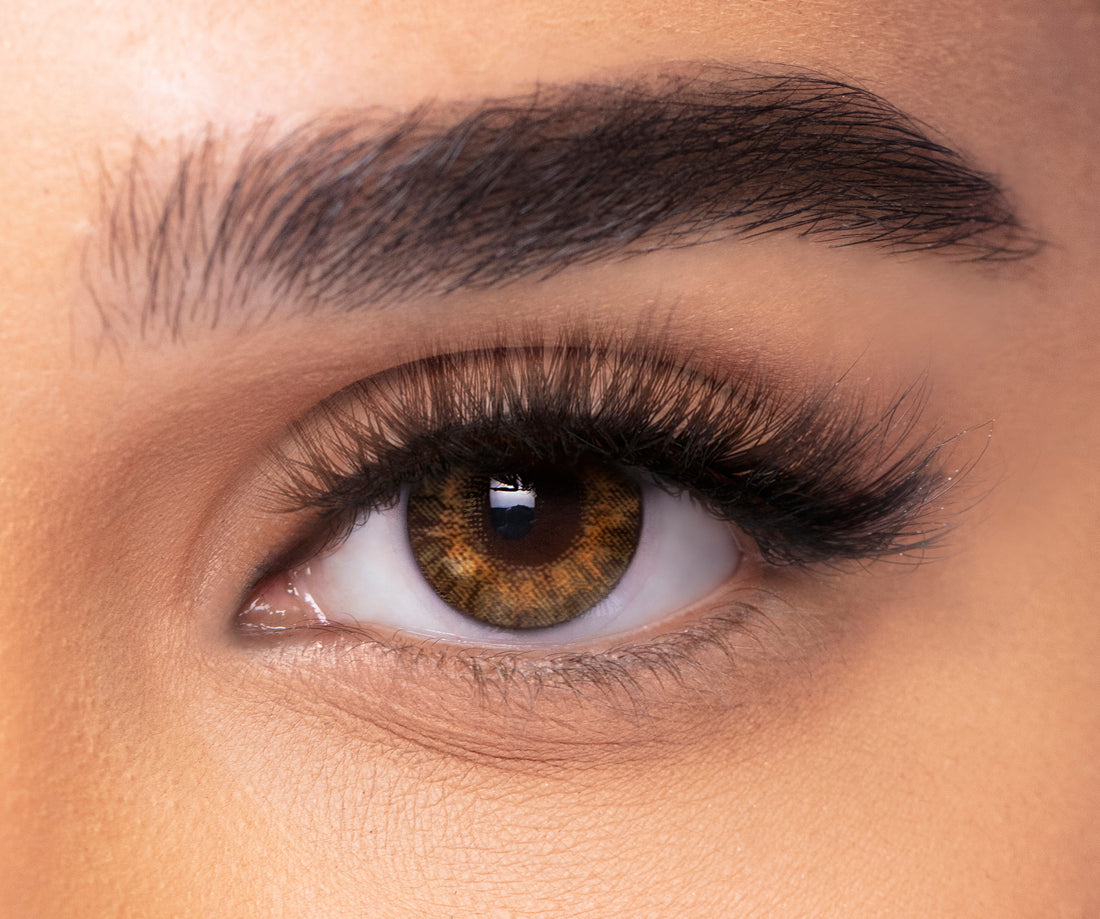 Freshlook Colorblends Monthly: Pure Hazel