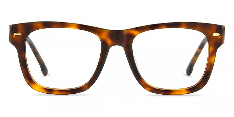 CARRERA 3021 05L 52/19/140 FRAME